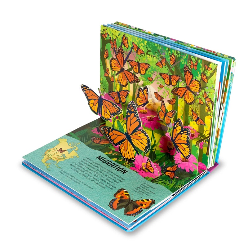 Papillons Pop-up - Nuinui jeunesse