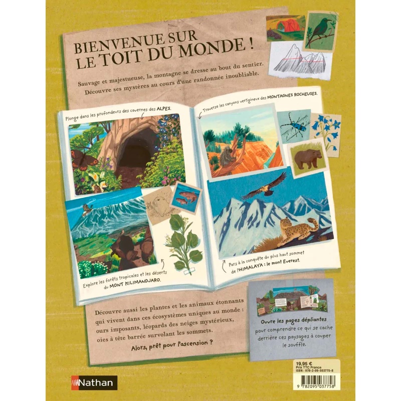 Il y a une montagne dans ce livre - Nathan