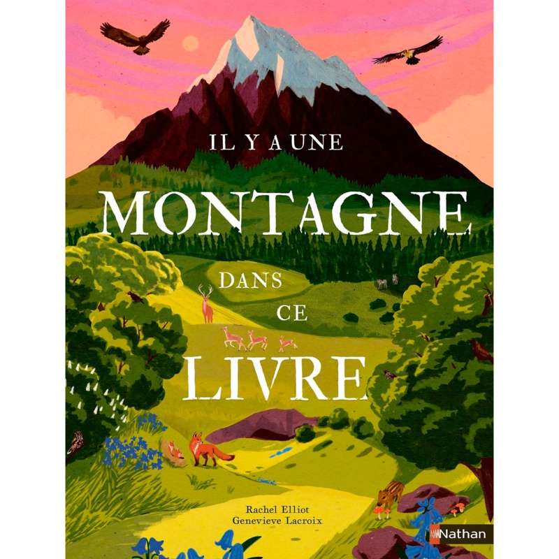 Il y a une montagne dans ce livre - Nathan