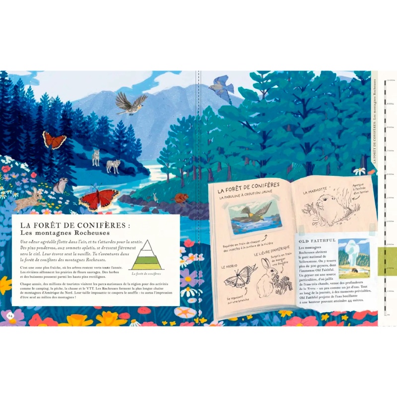 Il y a une montagne dans ce livre - Nathan
