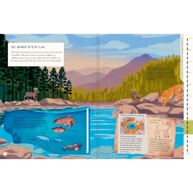 Il y a une montagne dans ce livre - Nathan