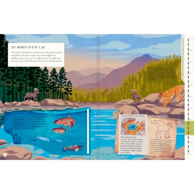 Il y a une montagne dans ce livre - Nathan