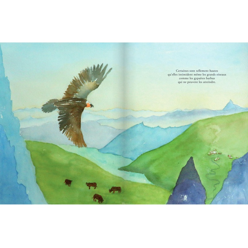 Les aventures d'un petit caillou rouge