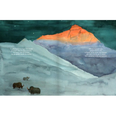 Les aventures d'un petit caillou rouge