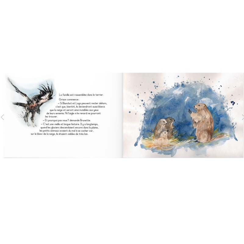 Le secret de l'hermine