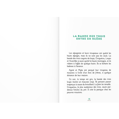 Zinello, âne des alpages - Un hiver d'aventures