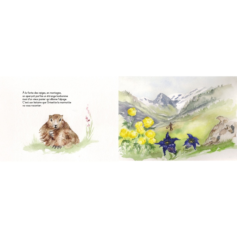 Du rififi chez les marmottes