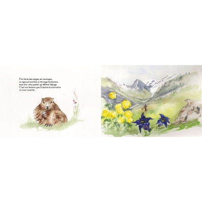 Du rififi chez les marmottes