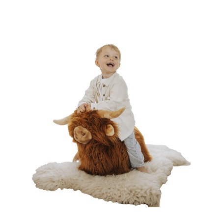 Vache Highland rebondissante