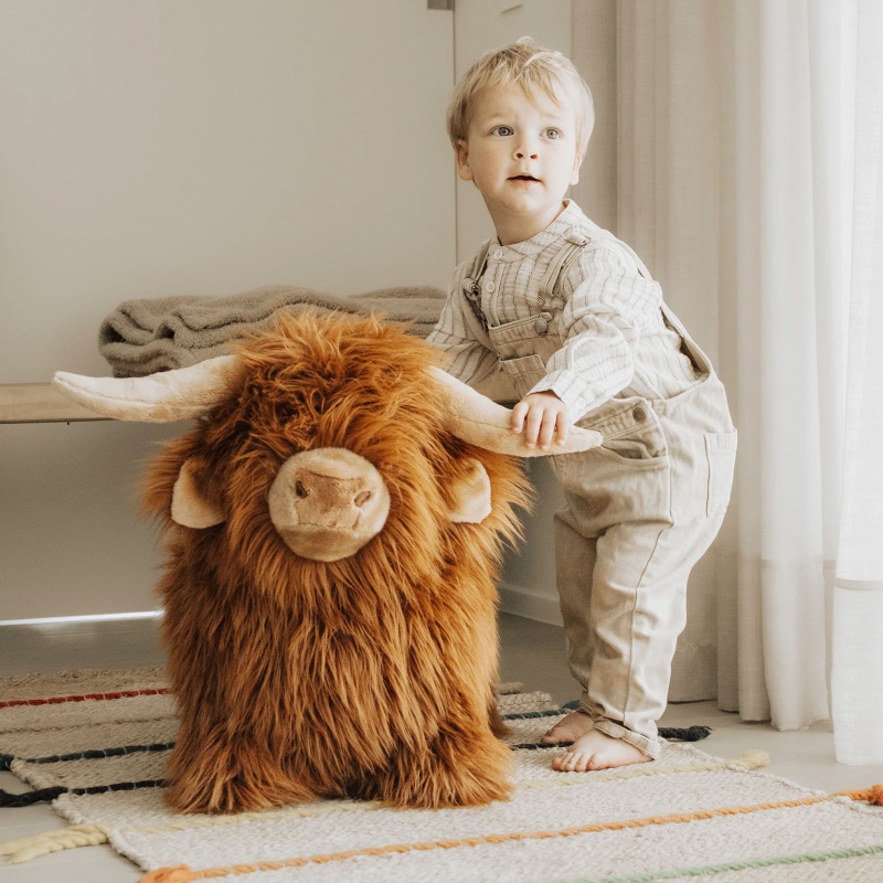 Vache Highland rebondissante