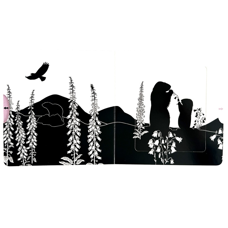 Montagne - Les belles couleurs - Nathan