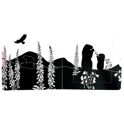 Montagne - Les belles couleurs - Nathan