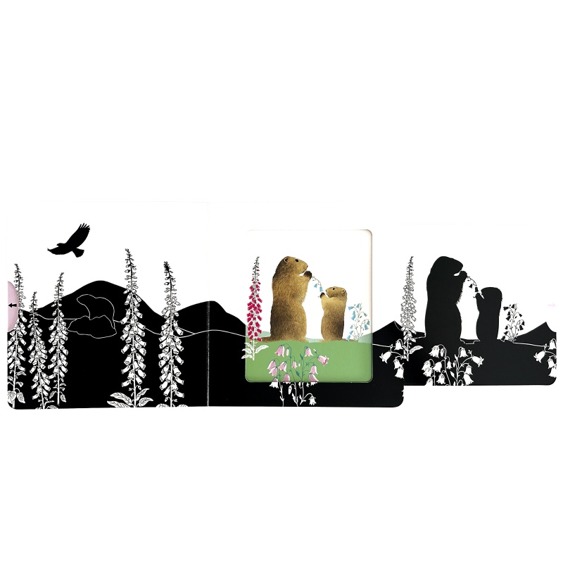 Montagne - Les belles couleurs - Nathan