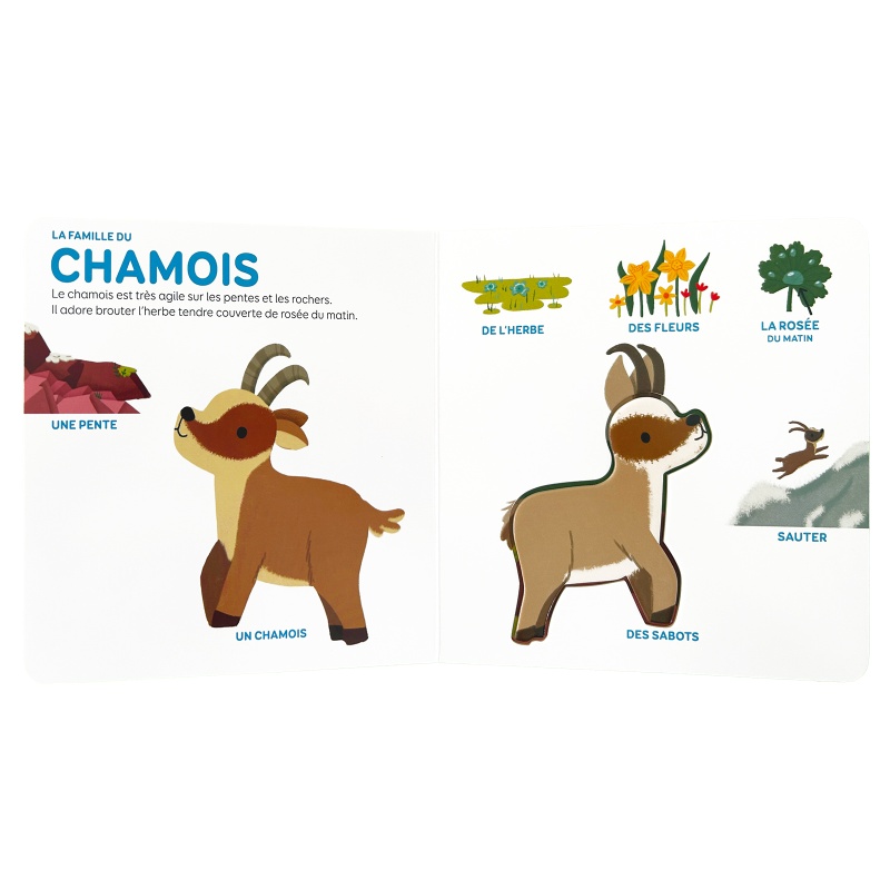 Les animaux de la montagne - Mes p'tits documentaires en relief