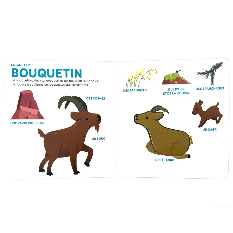 Les animaux de la montagne - Mes p'tits documentaires en relief