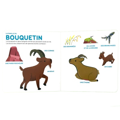 Les animaux de la montagne - Mes p'tits documentaires en relief