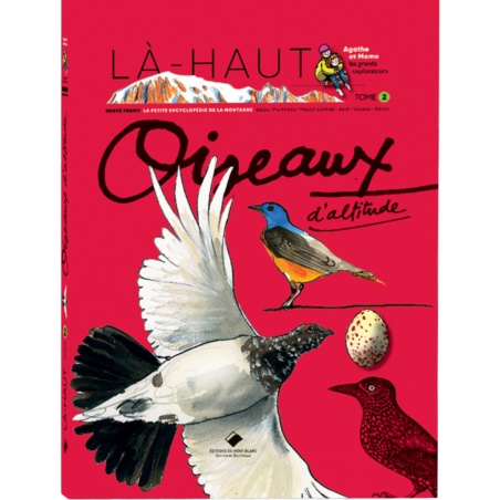 Oiseaux d’altitude...