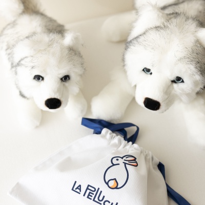 Peluche Husky d'Alaska