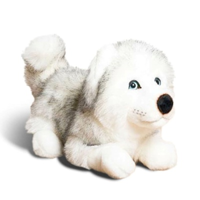 Peluche Husky d'Alaska