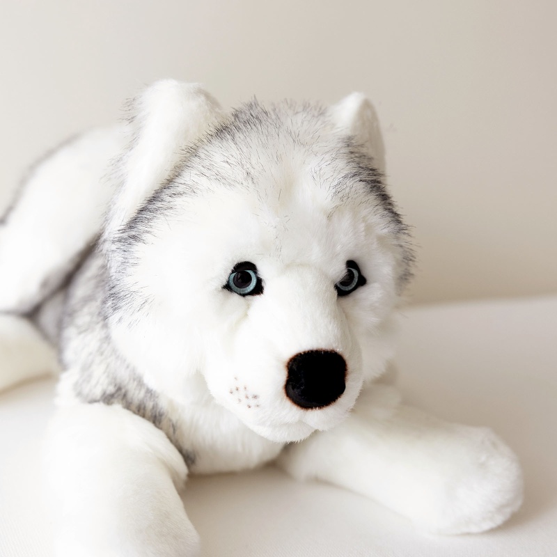 Peluche Husky d'Alaska