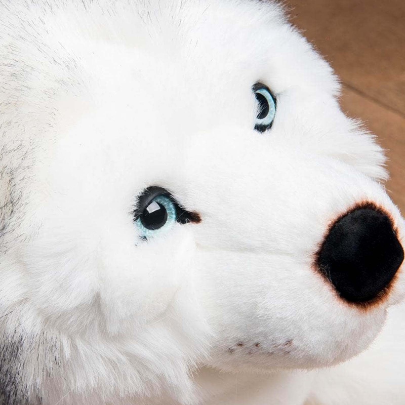 Peluche Husky d'Alaska